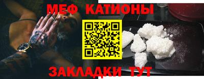 шишки Тара
