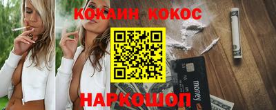 шишки Тара