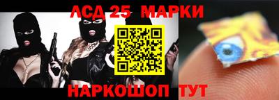 шишки Тара