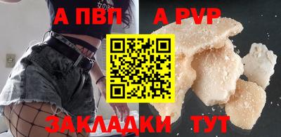шишки Тара