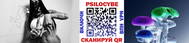 Псилоцибиновые грибы GOLDEN TEACHER  продажа наркотиков  Оренбург 