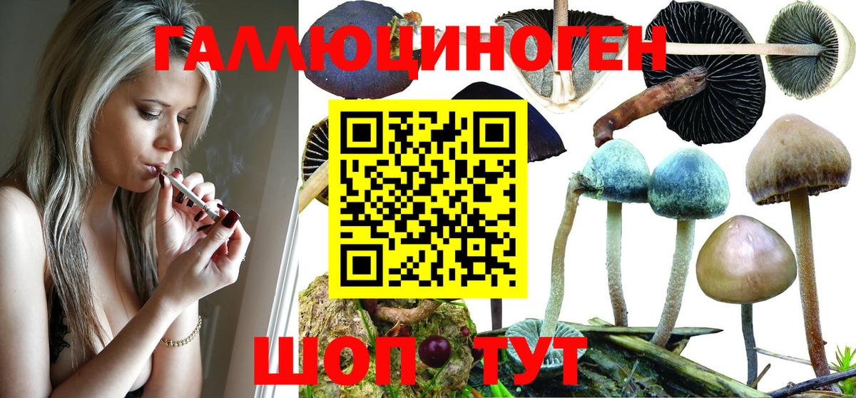 Псилоцибиновые грибы Magic Shrooms Оренбург