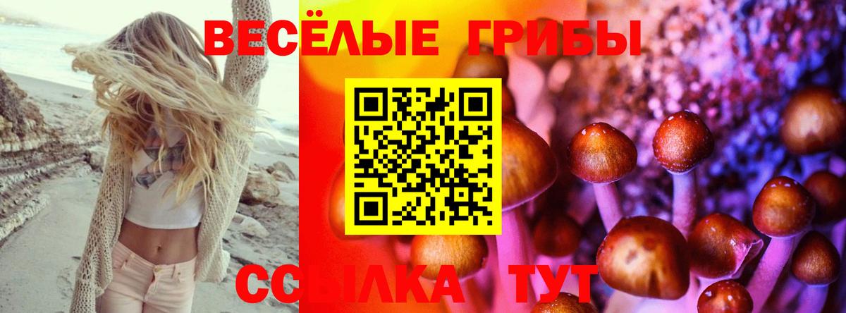 Галлюциногенные грибы Cubensis  Вход с VPN  Оренбург  Галлюциногенные грибы мухоморы 